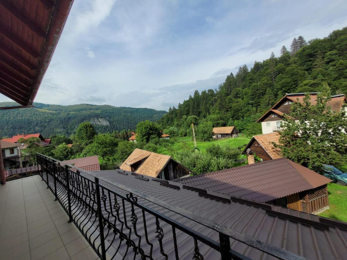 Vila Denisa Bran (Brasov) Exterior foto
